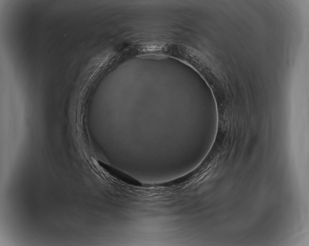 X0000088391441200705221104