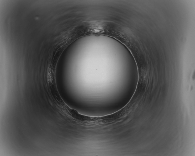 X0000088391442200705221104