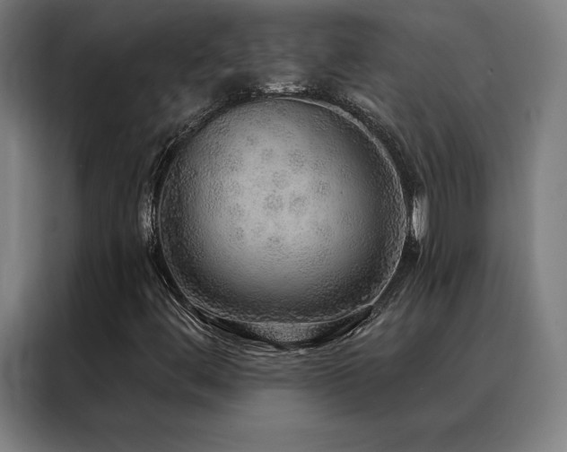 X0000088391444200705221104