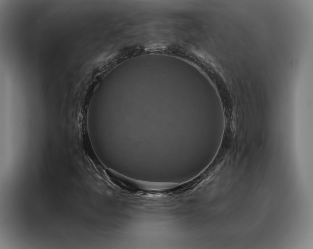 X0000088391445200705221104