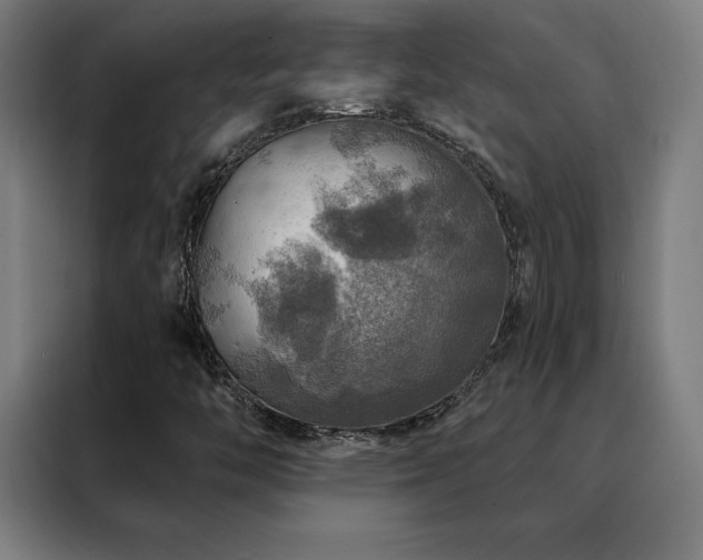 X0000088391446200705221104