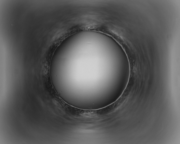 X0000088391447200705221104