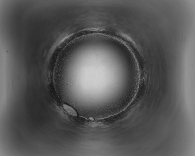 X0000088391448200705221104