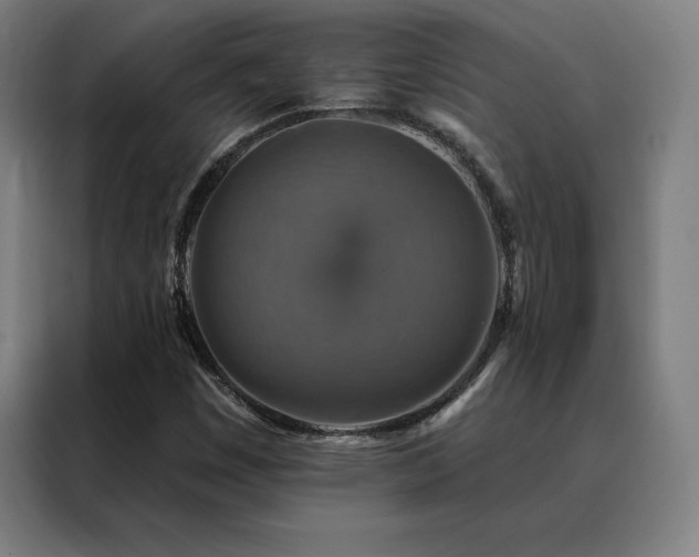 X0000088391449200705221104