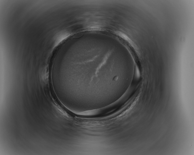 X0000088391450200705221104