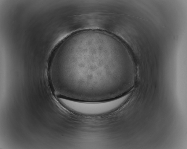 X0000088391452200705221104