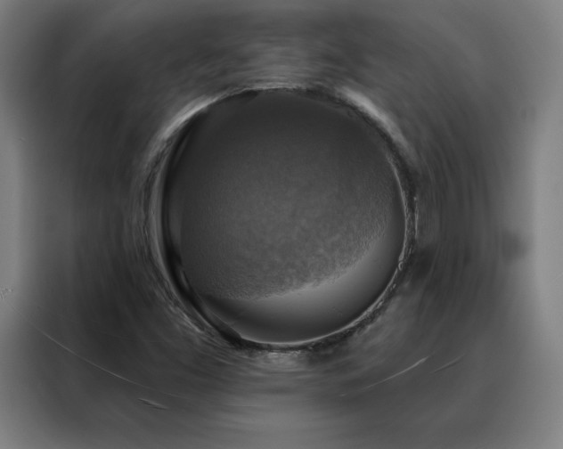 X0000088391453200705221104