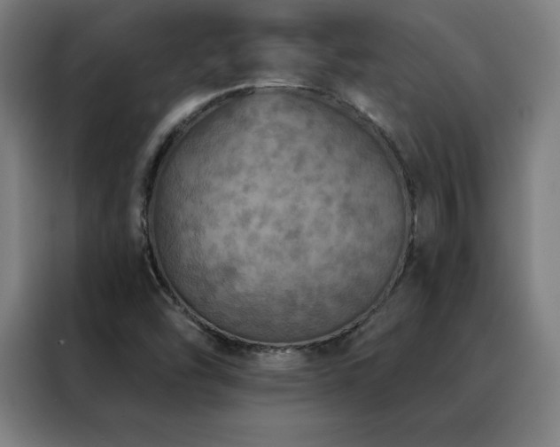 X0000088391454200705221104