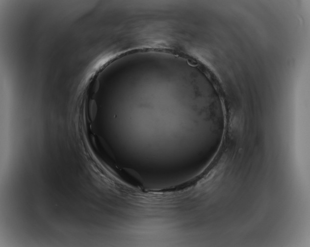 X0000088391455200705221104