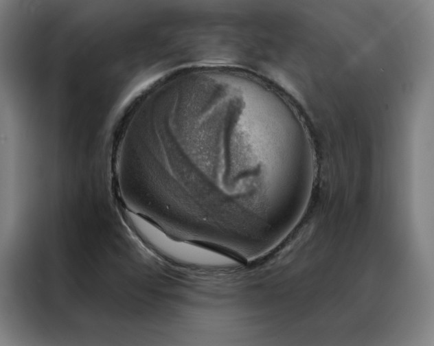 X0000088391456200705221104