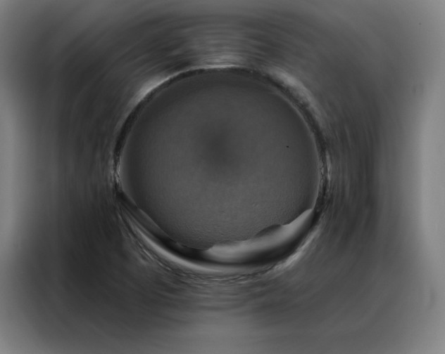 X0000088391457200705221104