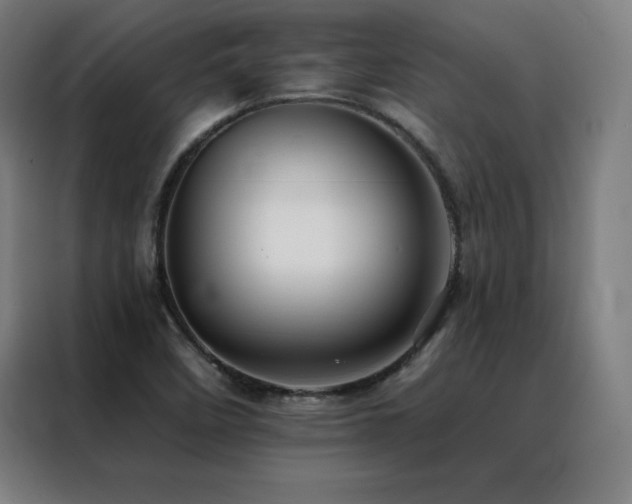 X0000088391458200705221104