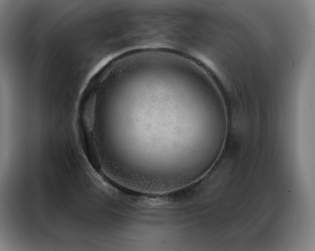 X0000088391460200705221104