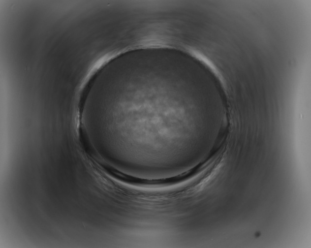 X0000088391461200705221104