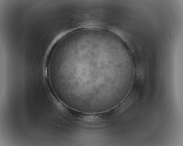 X0000088391462200705221104