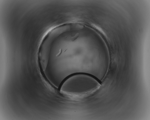 X0000088391463200705221104