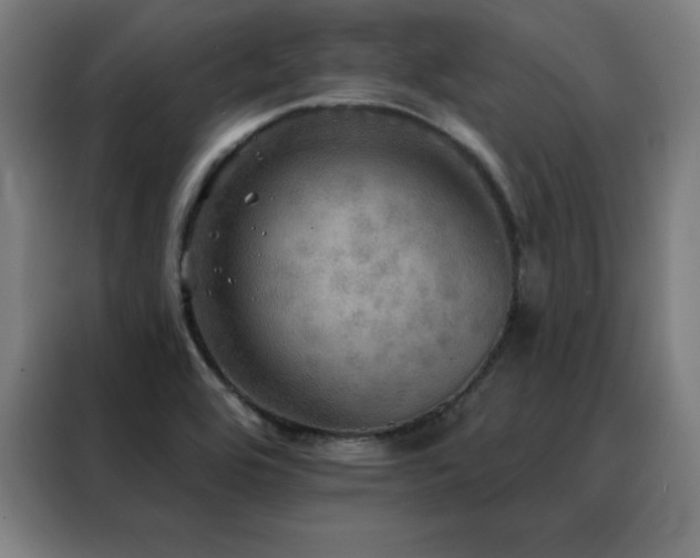 X0000088391464200705221104