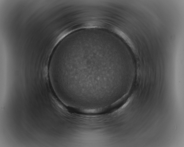 X0000088391465200705221104