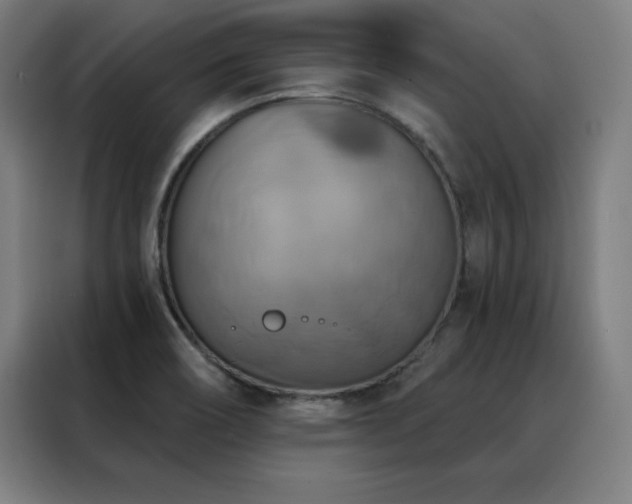 X0000088391466200705221104