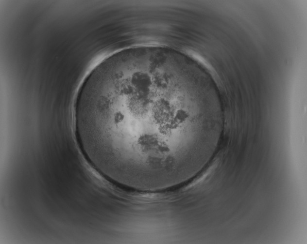 X0000088391467200705221104