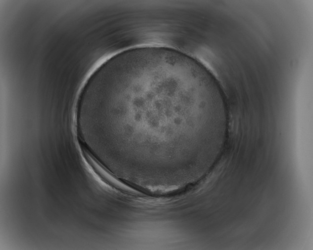 X0000088391468200705221104