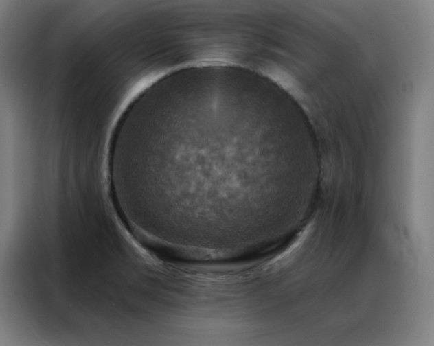 X0000088391469200705221104