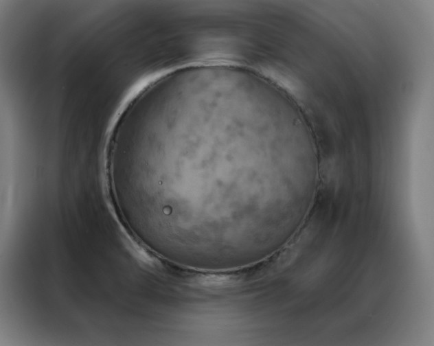 X0000088391470200705221104