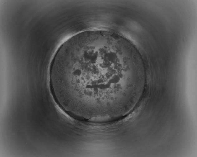 X0000088391471200705221104