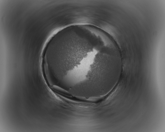 X0000088391472200705221104