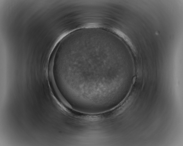 X0000088391473200705221104