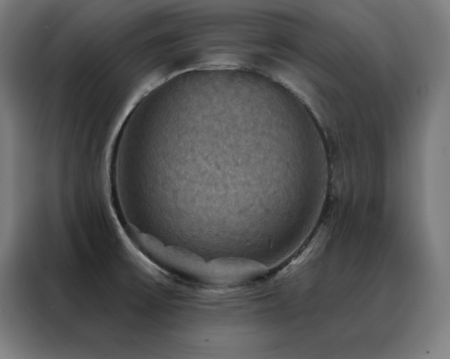 X0000088391475200705221104