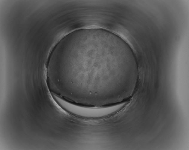 X0000088391476200705221104