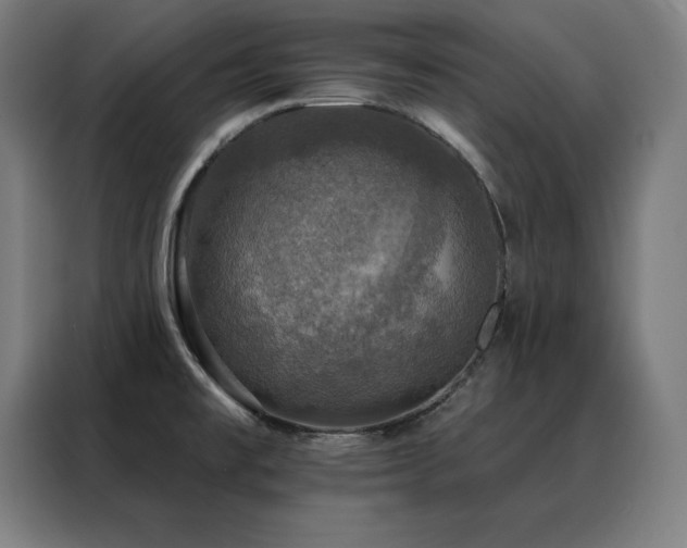 X0000088391477200705221104