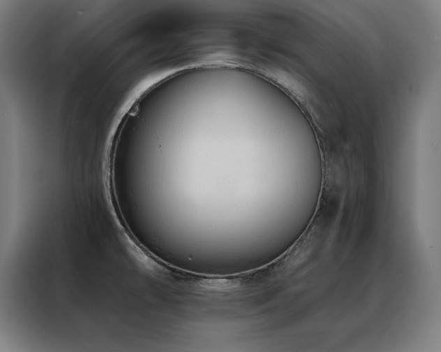 X0000088391478200705221104