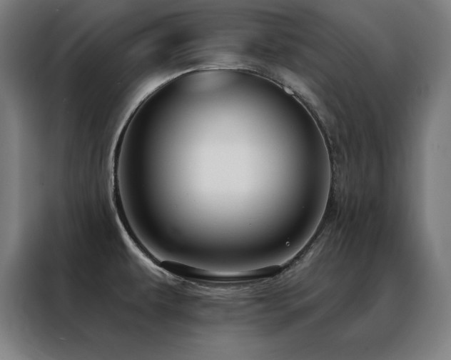 X0000088391479200705221104