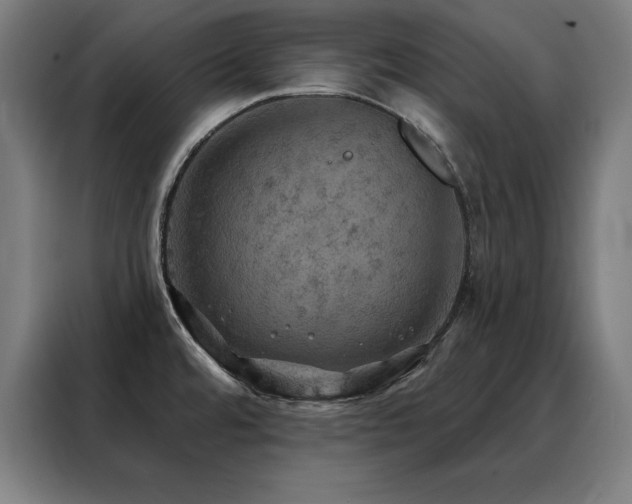 X0000088391480200705221104