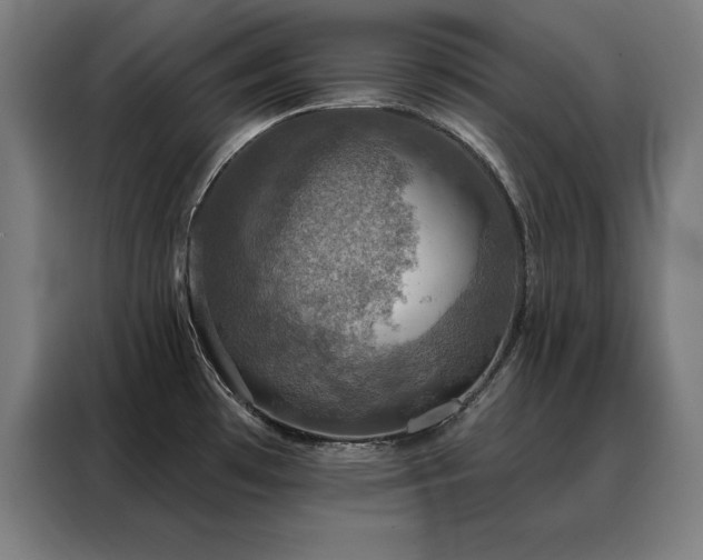 X0000088391481200705221104