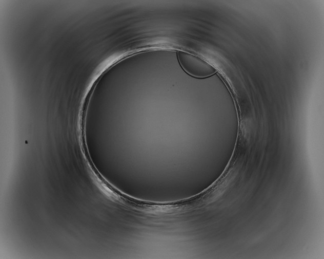 X0000088391482200705221104