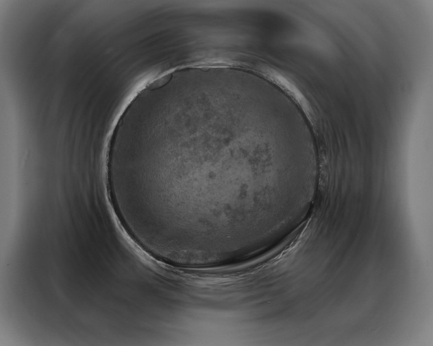 X0000088391483200705221104