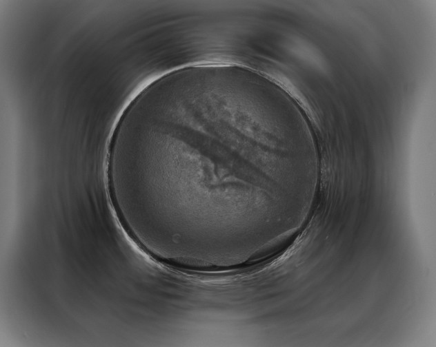 X0000088391484200705221104