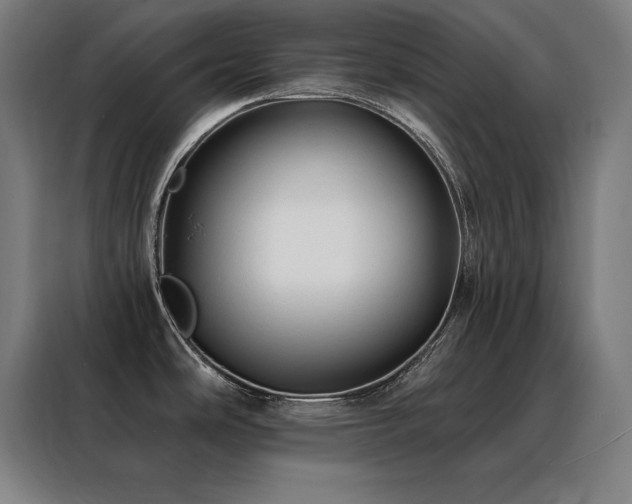 X0000088391486200705221104