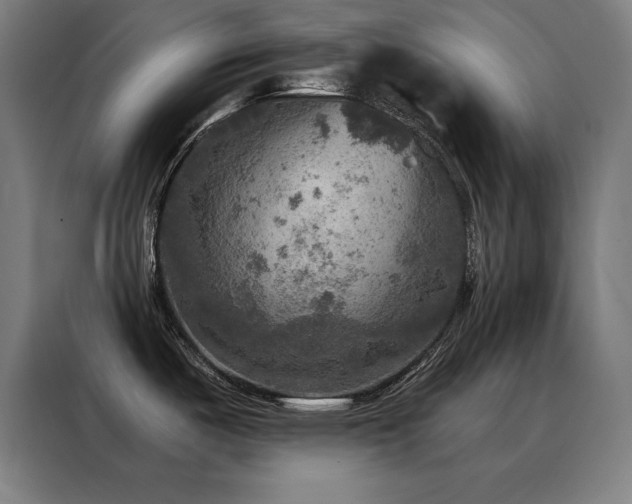 X0000088391487200705221104