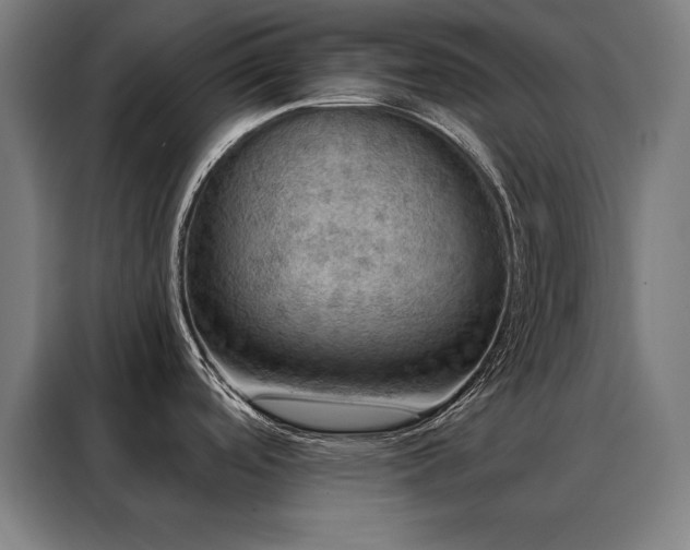 X0000088391488200705221104