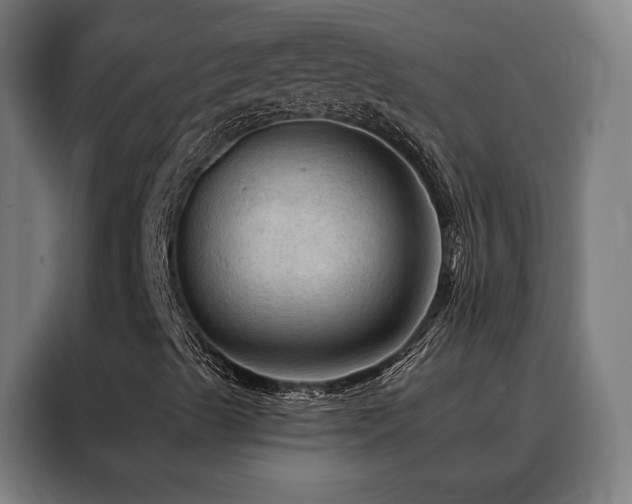 X0000088391489200705221103