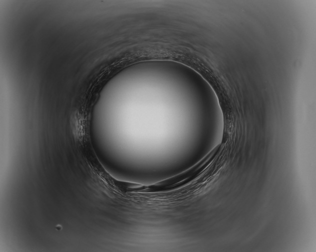 X0000088391490200705221103