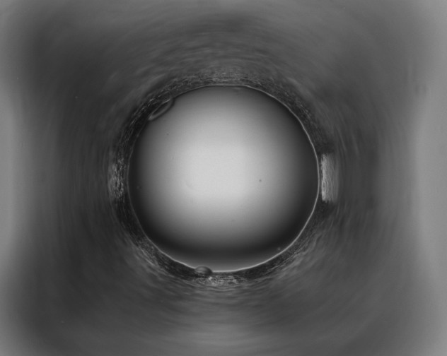 X0000088391491200705221103