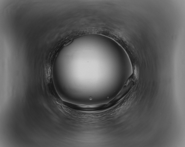 X0000088391492200705221103