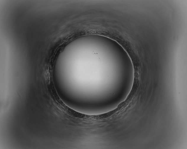 X0000088391493200705221103