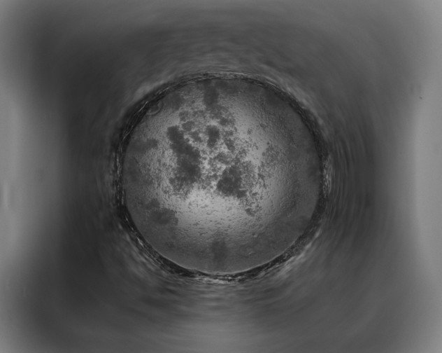 X0000088391494200705221103