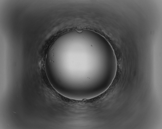 X0000088391495200705221103